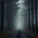 nocne upiory opowiadanie blog life style gettinenglish