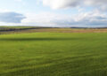 on-land-na-lądzie-słownictwo-angielskie-przyroda