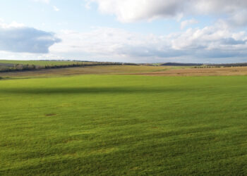 on-land-na-lądzie-słownictwo-angielskie-przyroda