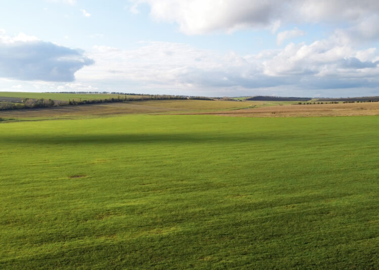 on-land-na-lądzie-słownictwo-angielskie-przyroda