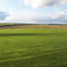 on-land-na-lądzie-słownictwo-angielskie-przyroda