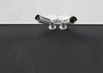 big-brother-is-watching-you