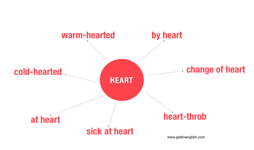 half-hearted-heart-słownictwo-angielski